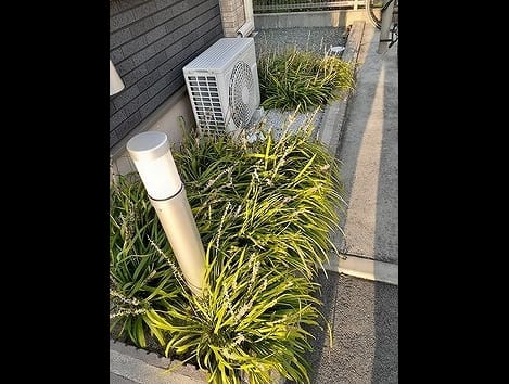 Naikan10 20240903000000