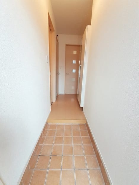 Naikan11 20240205000000