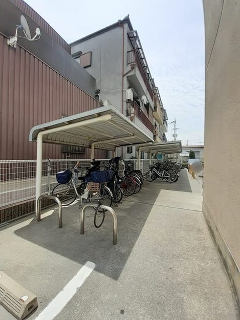 Naikan11 20241120000000