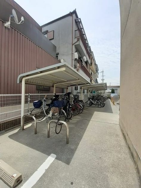 Naikan11 20241120000000 945x630
