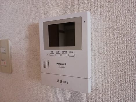 Naikan11 20260212000000