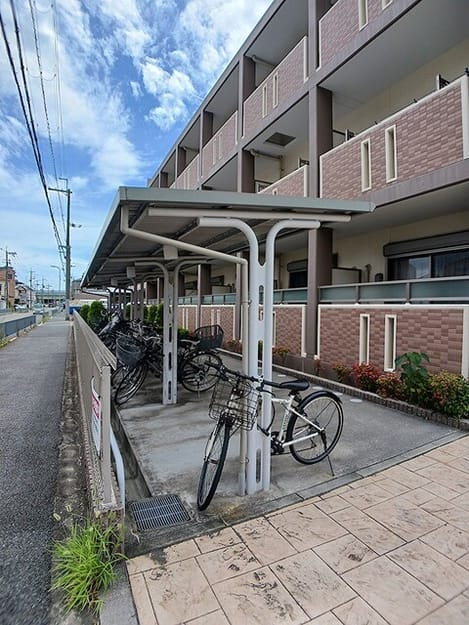 Naikan10 20260818000000