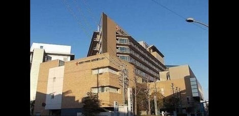 Naikan17 20250129000000 945x630
