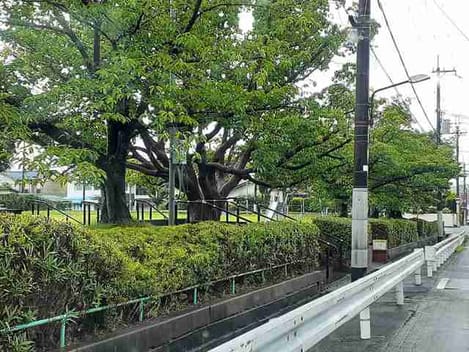 Naikan18 20210702000000