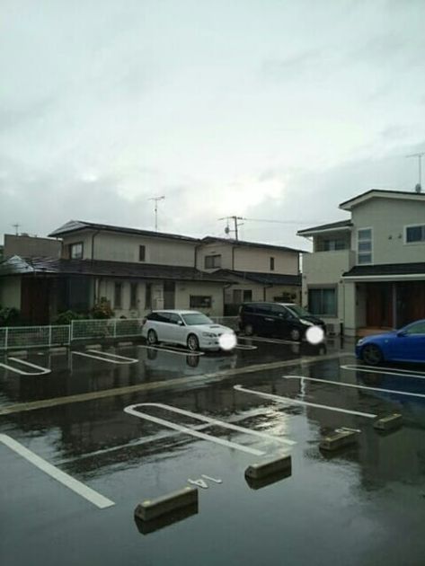 Naikan11 20201012000000 945x630