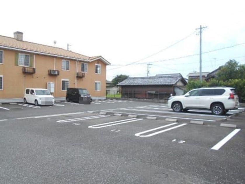 Naikan11 20250311000000 945x630