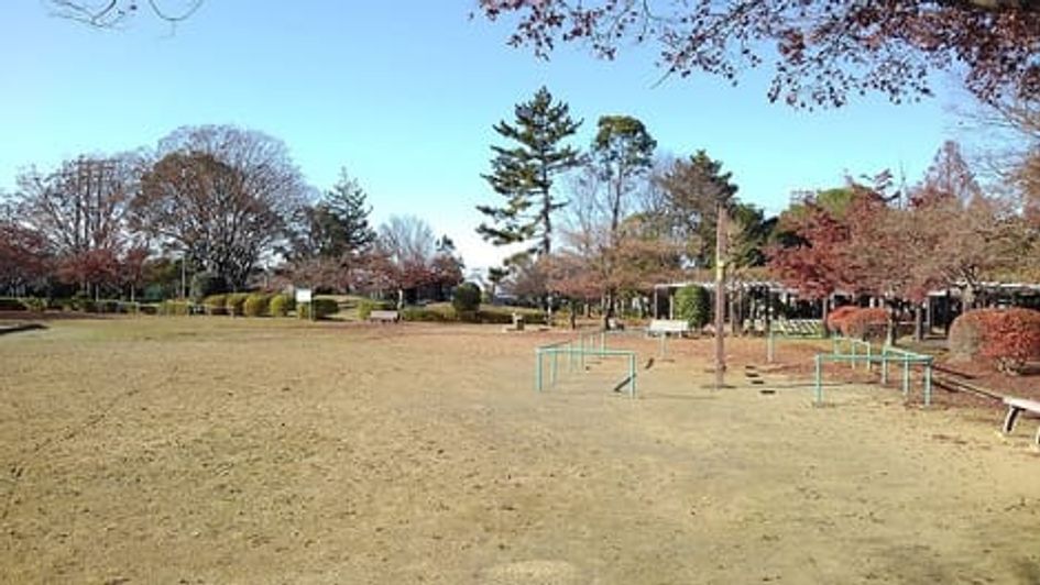 Naikan16 20241018000000 945x630