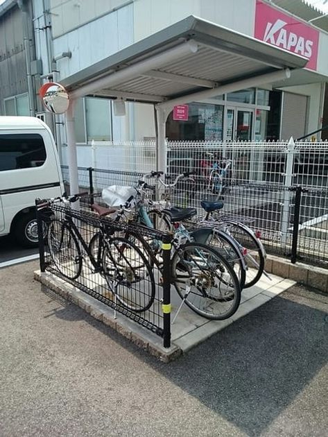 Naikan11 20241115000000 945x630