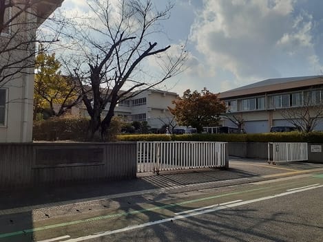 Naikan17 20240213000000