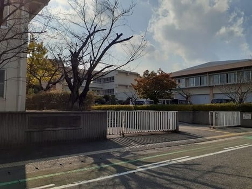 Naikan17 20240213000000 945x630