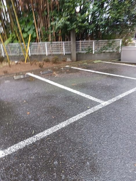 Naikan9 20250303000000