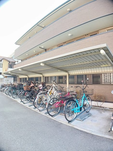 Naikan11 20250124000000