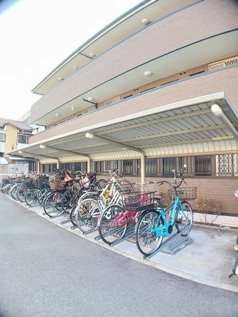 Naikan11 20250124000000 945x630