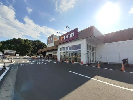 Naikan16 20260225000000