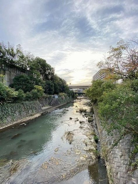 Naikan18 20221231211831 945x630