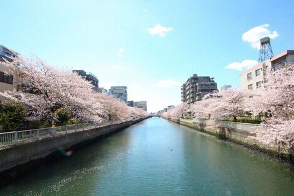 Naikan22 20250919115351 945x630