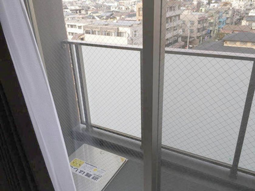 Naikan12 20250221153612 945x630