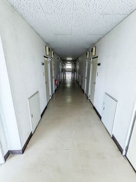 Naikan23 20251108154634 945x630