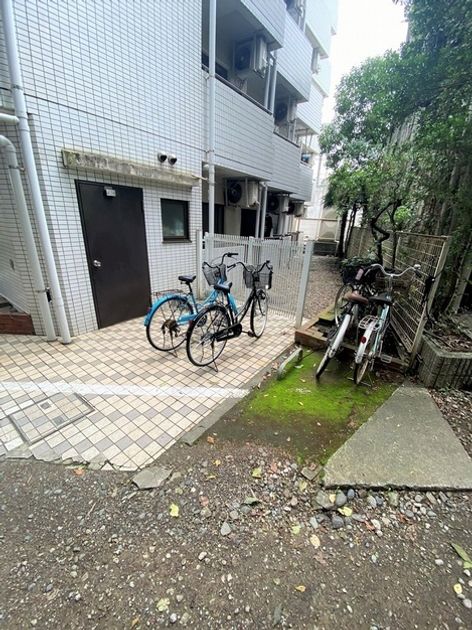 Naikan22 20251112150658 945x630