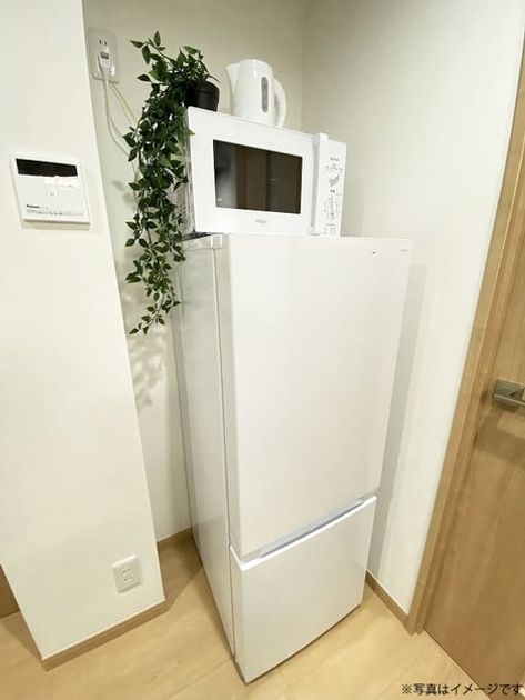 Naikan9 20250614152622 945x630