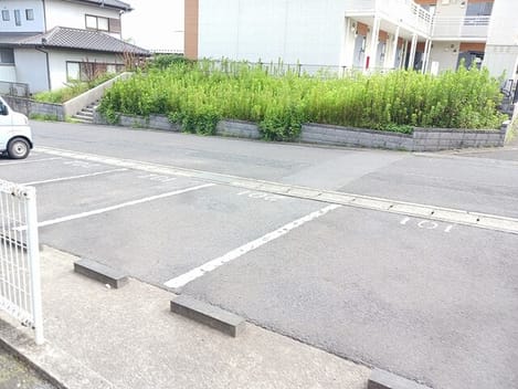 Naikan11 20250718000000