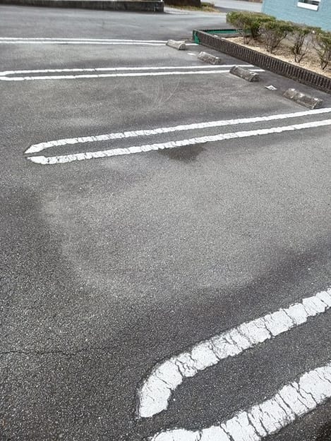 Naikan11 20241226000000