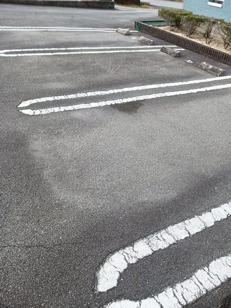Naikan11 20241226000000 945x630