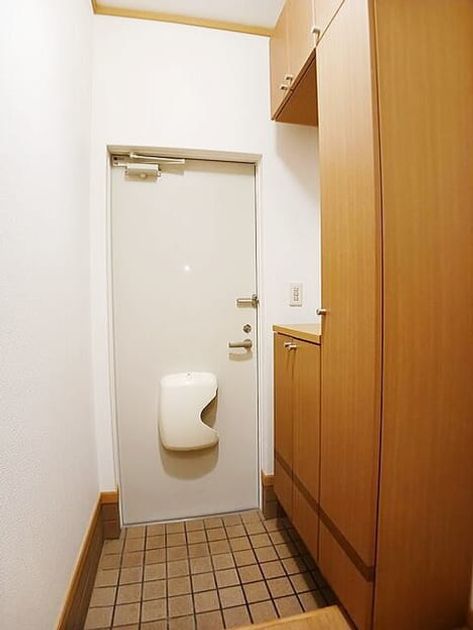 Naikan8 20250626000000 945x630