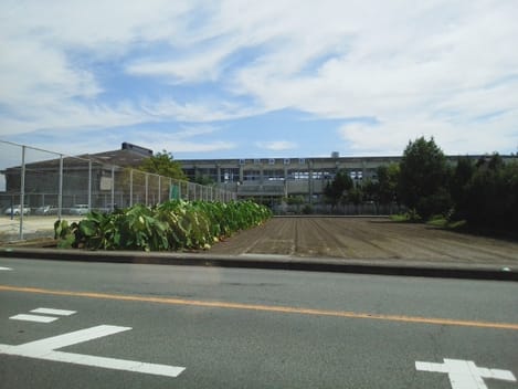 Naikan14 20210301000000