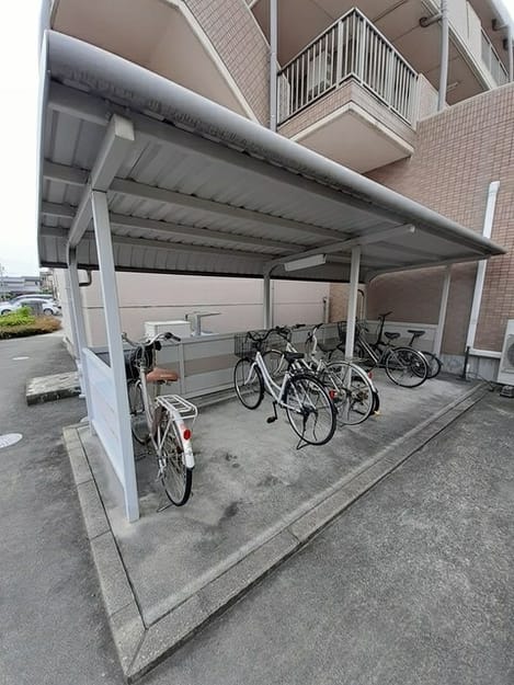 Naikan10 20250515000000