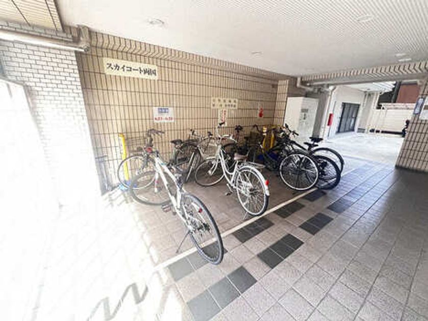 Naikan23 20251024024556 945x630