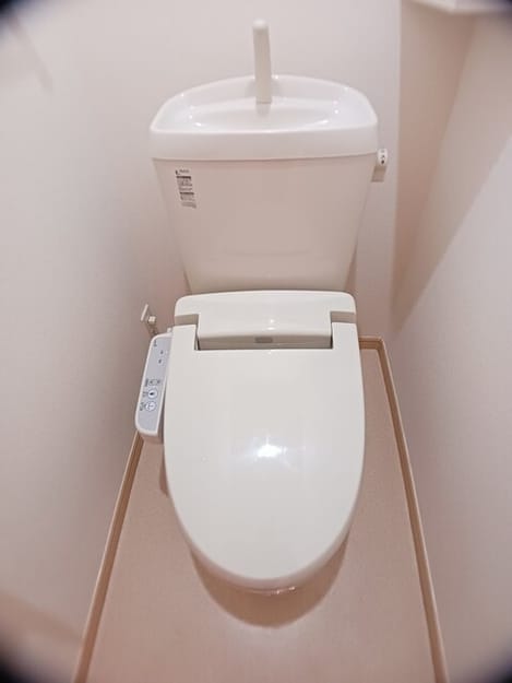 Naikan8 20260423000000
