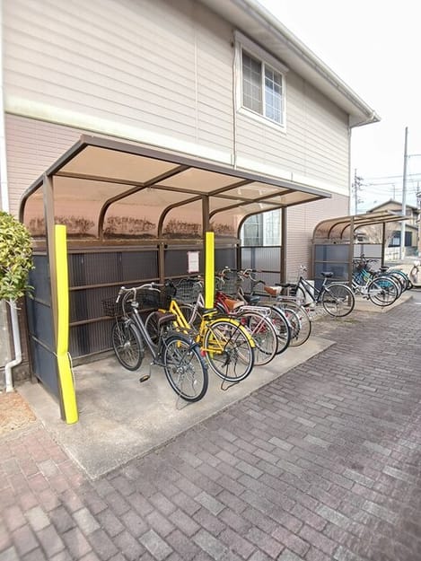 Naikan11 20260205000000