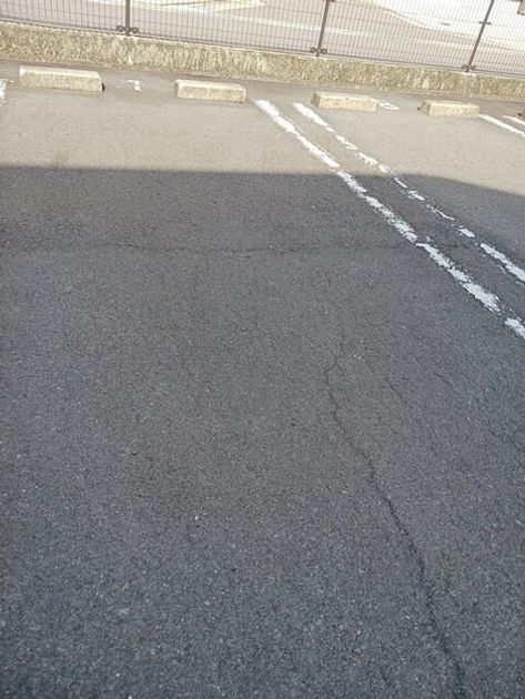 Naikan11 20251121000000 945x630