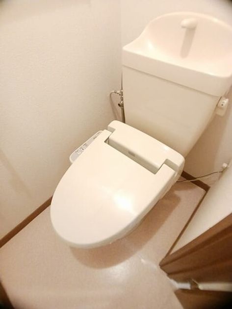 Naikan8 20251121000000 945x630