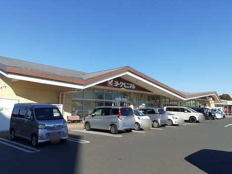 Naikan18 20250212000000