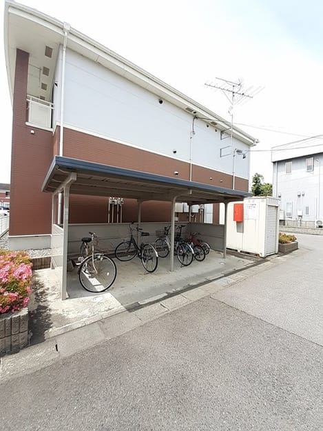 Naikan11 20260113000000