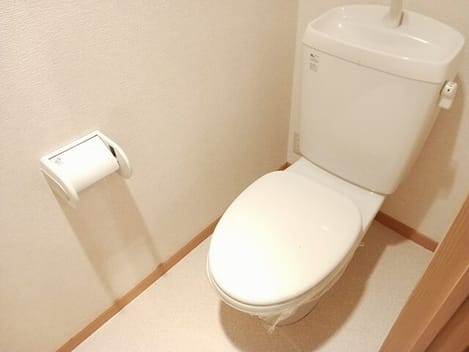 Naikan6 20260126000000