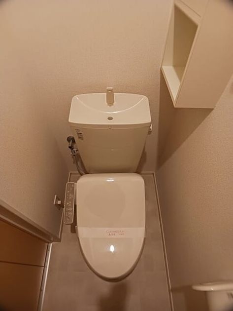 Naikan12 20260121000000 945x630