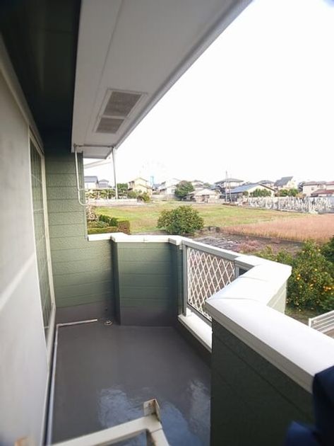 Naikan12 20251215000000 945x630