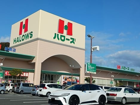 Naikan16 20260203000000