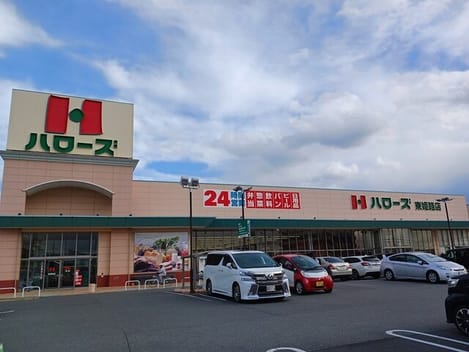 Naikan16 20250306000000