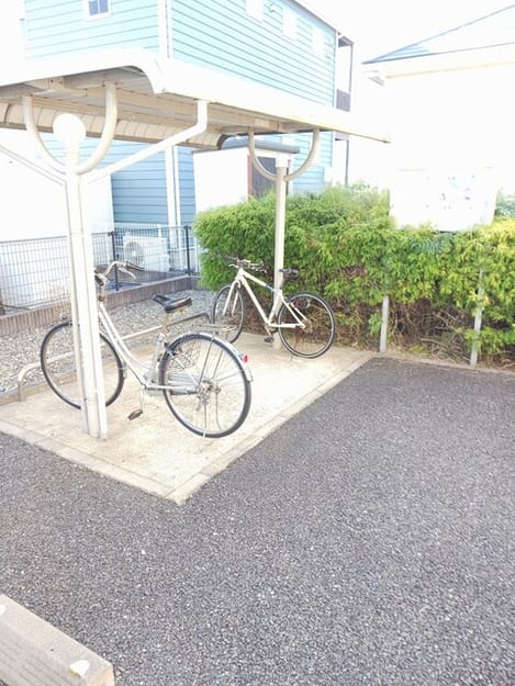 Naikan11 20260113000000