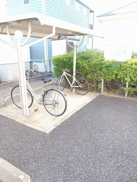 Naikan11 20260113000000 945x630