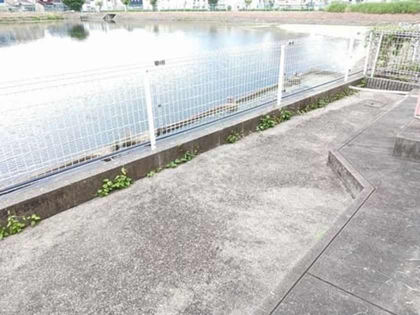 Naikan8 20240603000000 945x630