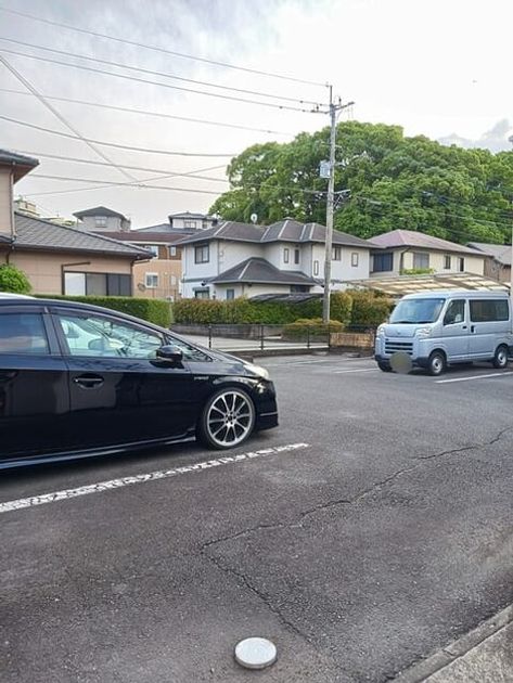 Naikan11 20260512000000 945x630