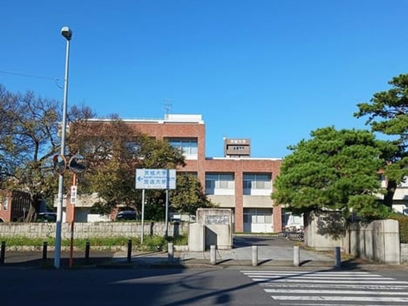Naikan13 20250408000000 945x630