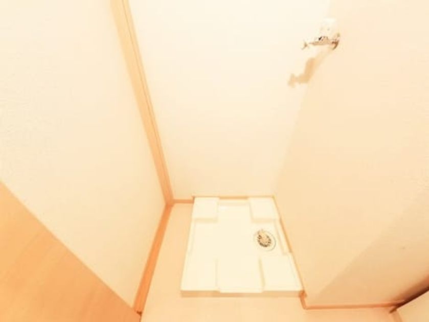 Naikan11 20240425000000 945x630