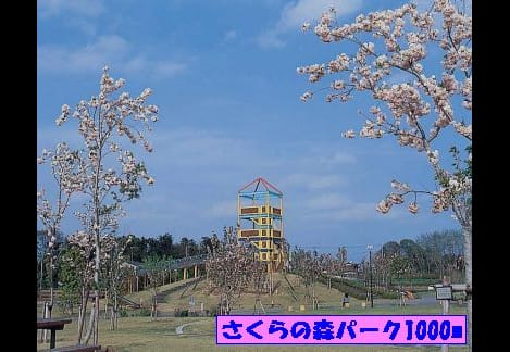 Naikan16 20161117000000