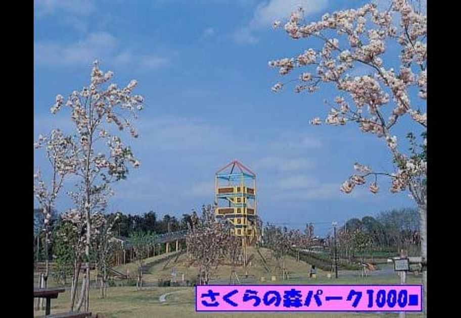 Naikan16 20161117000000 945x630